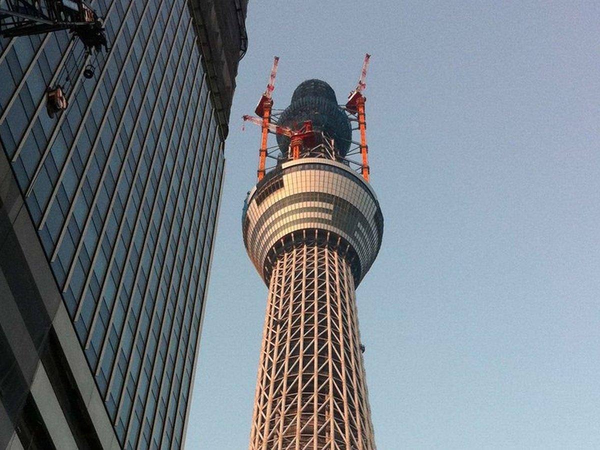 株式会社大林組　様